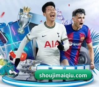五大服务分区,信息按项目分类 - 多运动项目内容板块